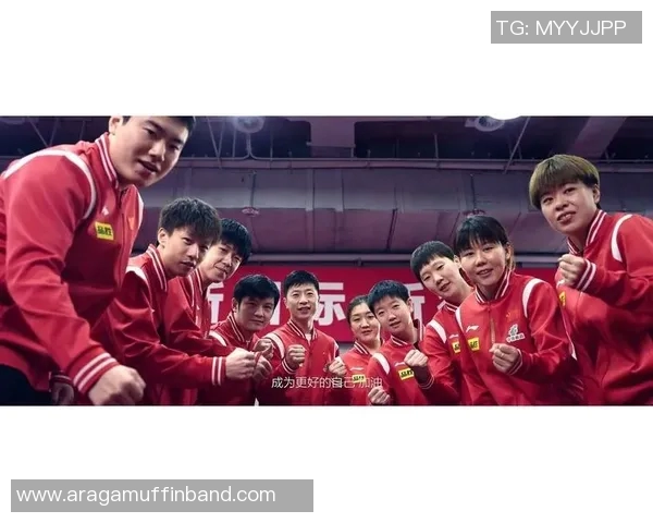 北京乒乓球队的阵容调整与战术变革带来的机遇与挑战分析