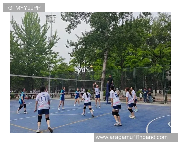 北京排球队实力解析：聚焦排球运动的崛起与未来发展