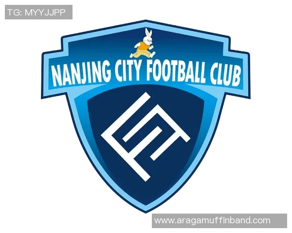 南京足球队创历史新高展现卓越耐力引领全国足球新风潮 南京足球队创历史新高展现卓越耐力引领全国足球新风潮