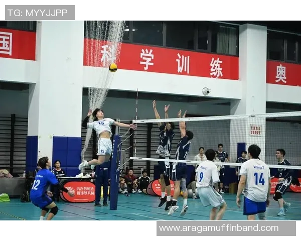 广州排球队实力飙升再创新高引领全国排球新风潮