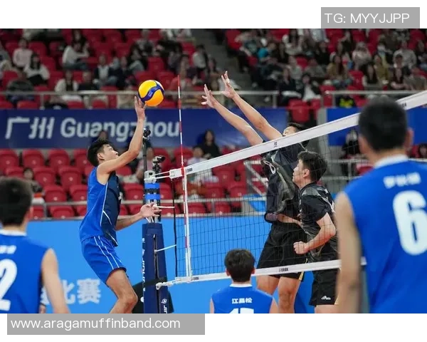 排球技术排名：重庆排球队创新高