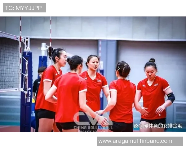 联赛点评：杭州排球队的耐力表现