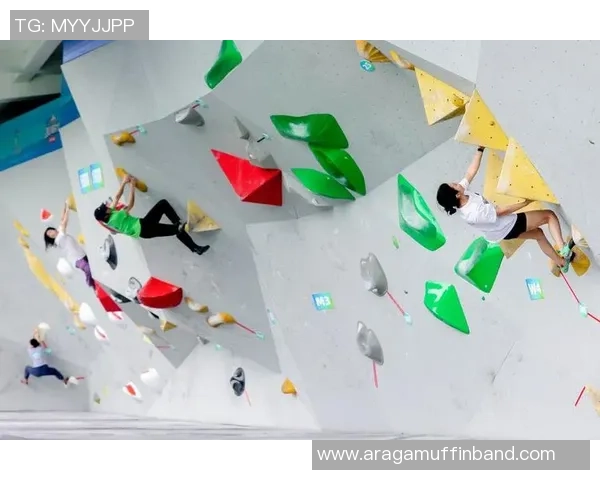 攀岩力量排行榜：重庆攀岩队位居第5名