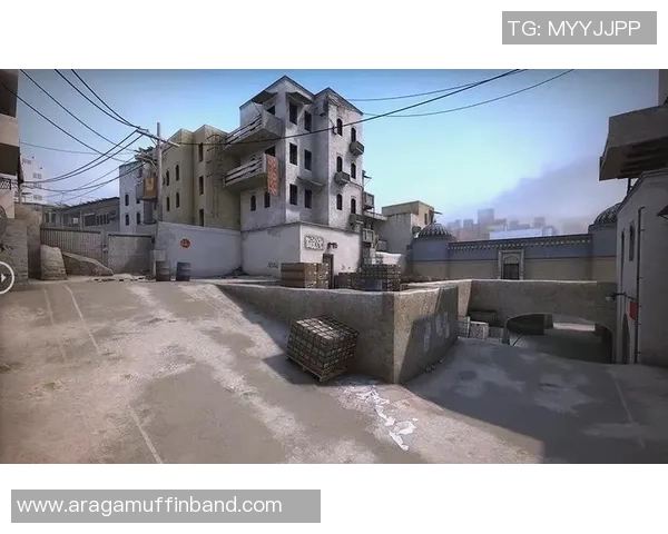 CSGO深度：解密BLG的控制