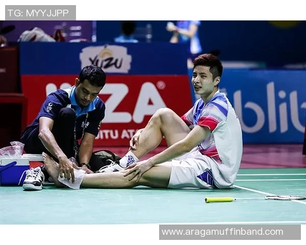 羽毛球巨献:探秘南京羽毛球队的团队协作