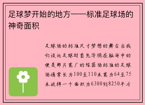 足球梦开始的地方——标准足球场的神奇面积