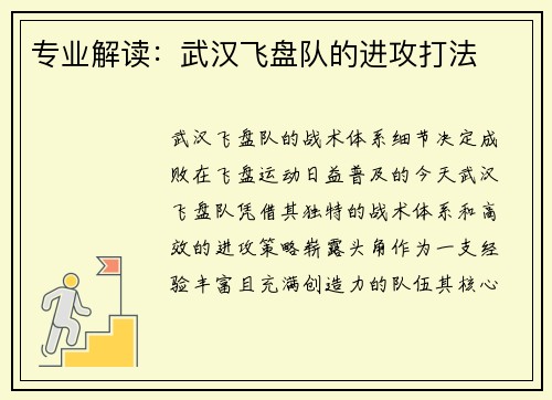 专业解读：武汉飞盘队的进攻打法